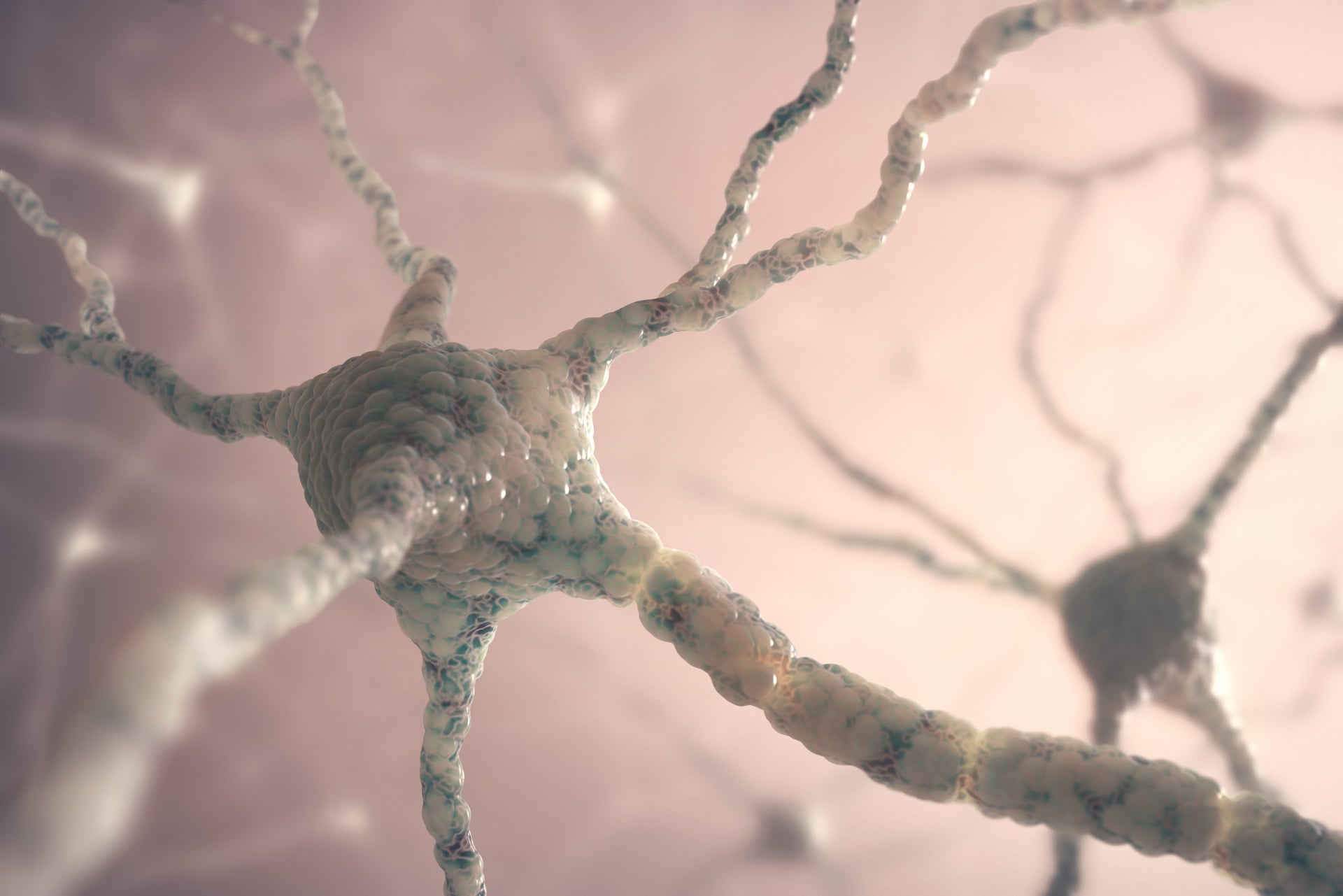 Reversal of Cognitive Defects and Synaptic Deficits with P21