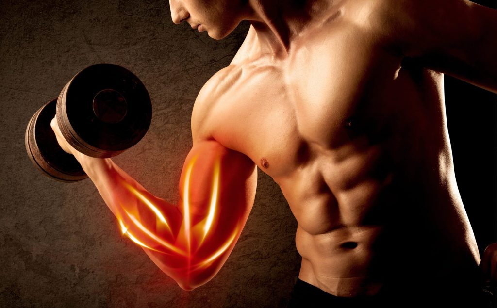 Local Hypertrophy and Rapid Skeletal Muscle Mass Atrophy Reversal with MGF